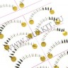 wmlashes_10pairs_b5_1.jpg