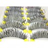 wm_lashes_A16.1.jpg