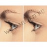 wm_portable_eyelash_curler1.jpg