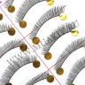 wmlashes_10pairs_010_3.jpg