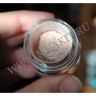 wminglot_pigment_180_03.jpg