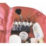 wm_pro_quinded_bag_coral3.jpg