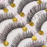 wmlashes_10pairs_058_1.jpg