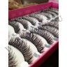 wmlashes_10pairs_f-8_3.jpg