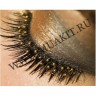 wm_caviar_eyes.jpg