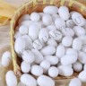 wm_silk_cocoons3.jpg