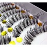 wmlashes_10pairs_t-8_1.jpg