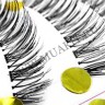 wmlashes_10pairs_t-8_3.jpg