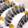 wmlashes_10pairs_t-8_4.jpg