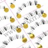 wmlashes_10pairs_b13_1.jpg