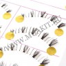 wmlashes_10pairs_b13_4.jpg