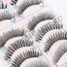 wmlashes_10pairs_f4_4.jpg