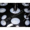 wmbrush_hold_0066.jpg
