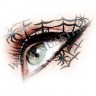 wm_paper_lashes_spider_forest1.jpg