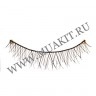 lashes10pairs_213_03.jpg