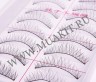 lashes10pairs_213_02.jpg