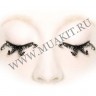 wm_paper_lashes_zebra1.jpg