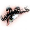 wm_paper_lashes_zebra2.jpg
