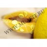 wm_fimo_fruit_stick39kcwe3.jpg