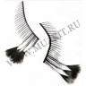 wmfalse_lashes_thin_4black_feathers3.jpg