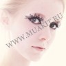 wm_paper_lashes_peacock2.jpg