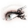 wm_paper_lashes_small_peacock1.jpg
