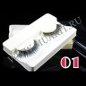 wm_lashes_new_collection01 copy.jpg