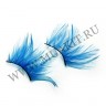 wm_feather_lashes_long_blue01.jpg