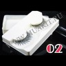 wm_lashes_new_collection02 copy.jpg