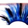 wm_feather_lashes_long_blackblue01.jpg