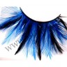wm_feather_lashes_long_blackblue04.jpg