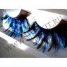 wm_feather_lashes_long_blackblue06.jpg
