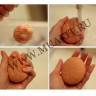 wm_konjac_sponge3y4.jpg