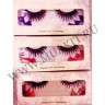 wmfalse_lashes_3feathers_colorful11c.jpg