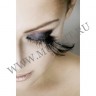 wm_half_feather_black1.jpg