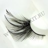 wm_half_feather_black2.jpg