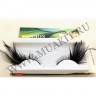 wm_half_feather_black6.jpg