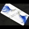 wm_half_feather_lashes_blue1.jpg