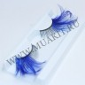 wm_half_feather_lashes_blue2.jpg