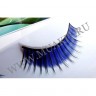 wmfalse_lashes_halfblack5.jpg