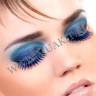 wmfalse_lashes_halfblack4.jpg