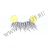 wm_eyelashes_10pairs_b-3_008.jpg