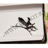 wm_paper_lashes_raven3.jpg