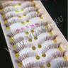 wm_eyelashes_10pairs_k13_003.jpg