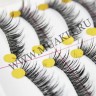 wm_lashes_10pairs_A15_1du.jpg