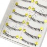 wm_lashes_10pairs_X1.2.jpg