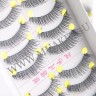 wm_eyelashes_10pairs_y66_007.jpg