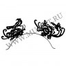 wm_paper_lashes_bird_peony0.jpg