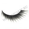 wm_lashes_10pairs_CEO_0.jpg