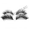 wm_lashes_10pairs_CEO_1.jpg